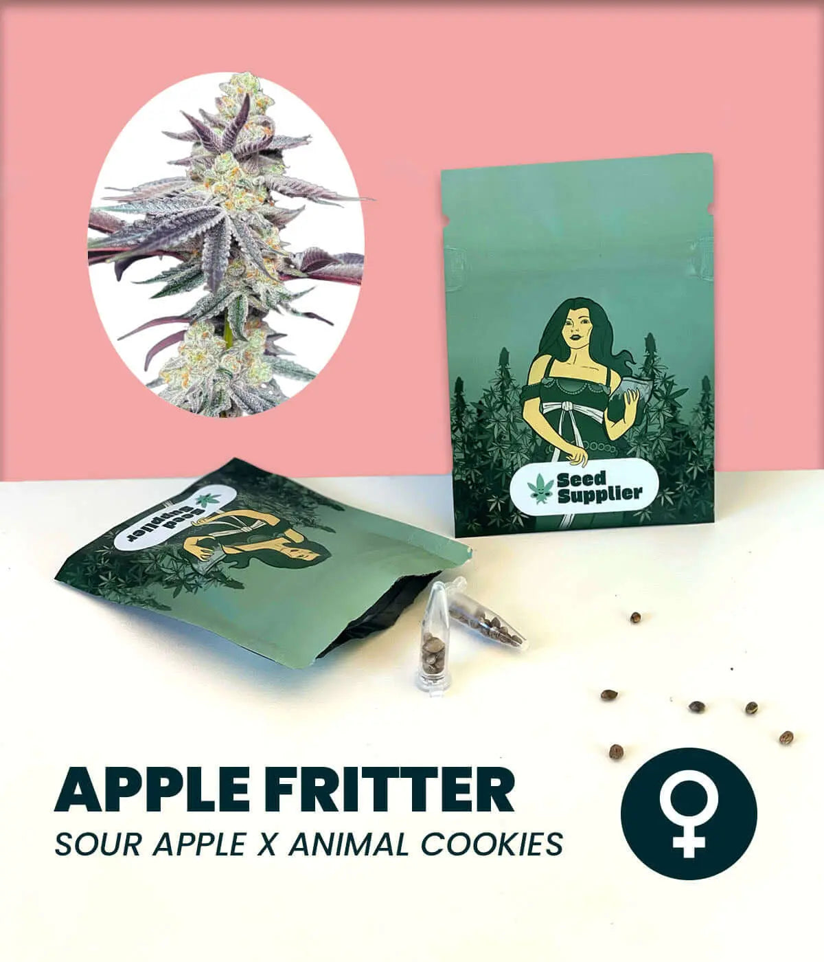 Apple Fritter cannabis seeds packaging, featuring Sour Apple and Animal Cookies genetics with female symbol.