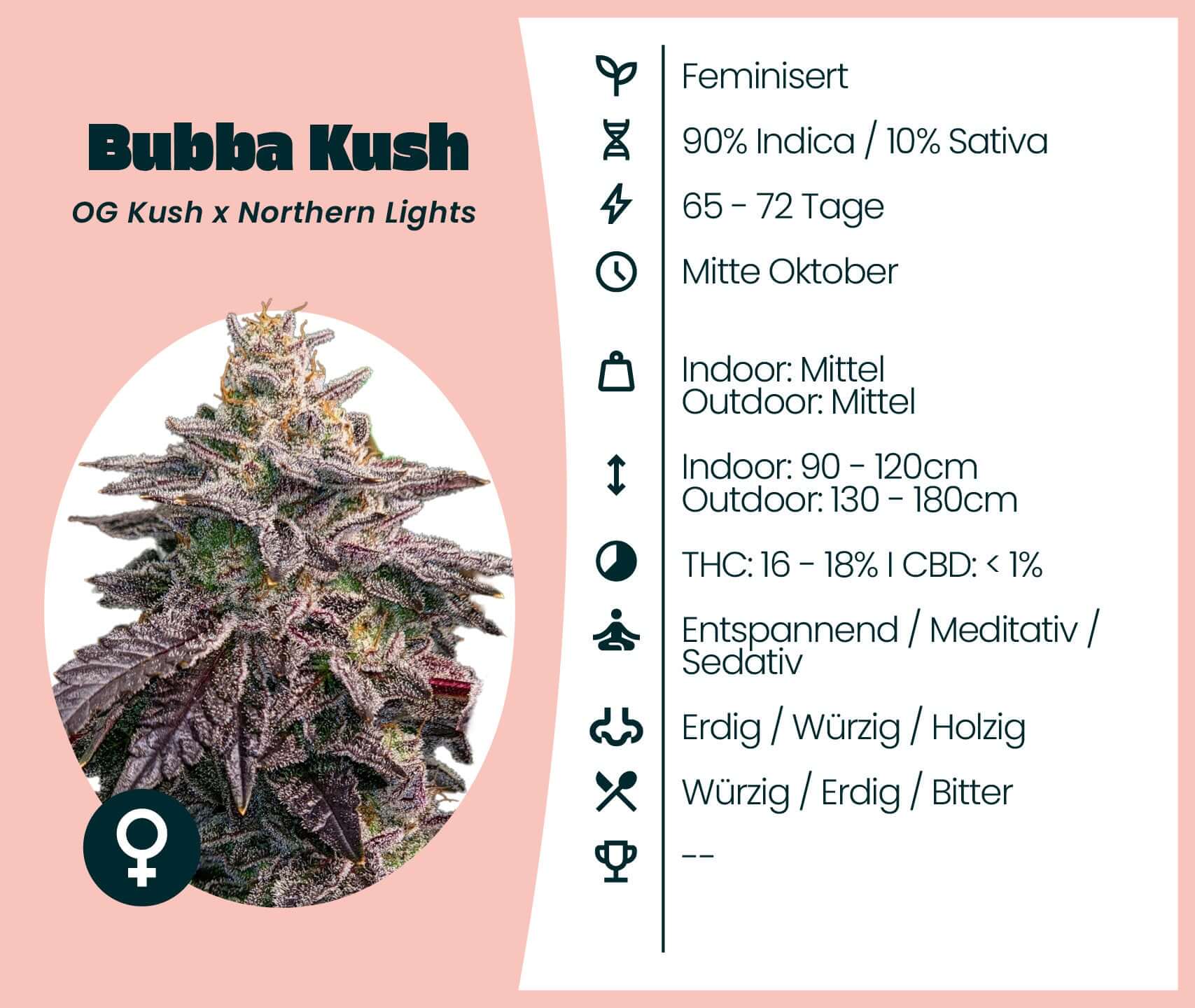 Bubba Kush cannabis strain info: 90% Indica, 10% Sativa, THC 16-18%, relaxing effect for evening use.