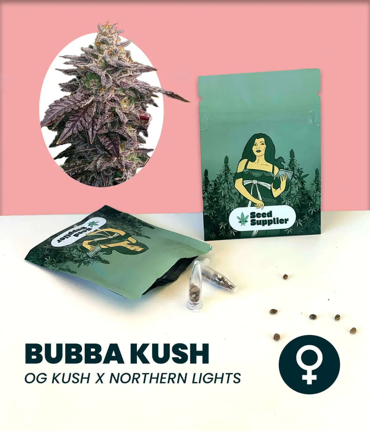 Bubba Kush Cannabissamen Verpackung mit Blütenfoto, Samenpacket und einzelnen Samen auf rosa Hintergrund