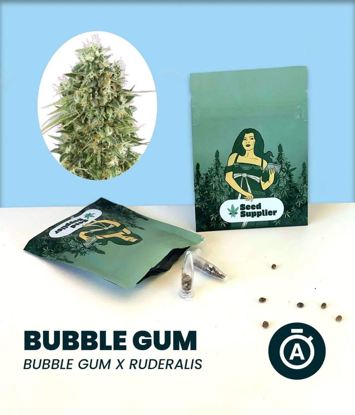 Bubble Gum Automatic cannabis seeds packaging with plant image, featuring Indica, Sativa, and Ruderalis genetics.