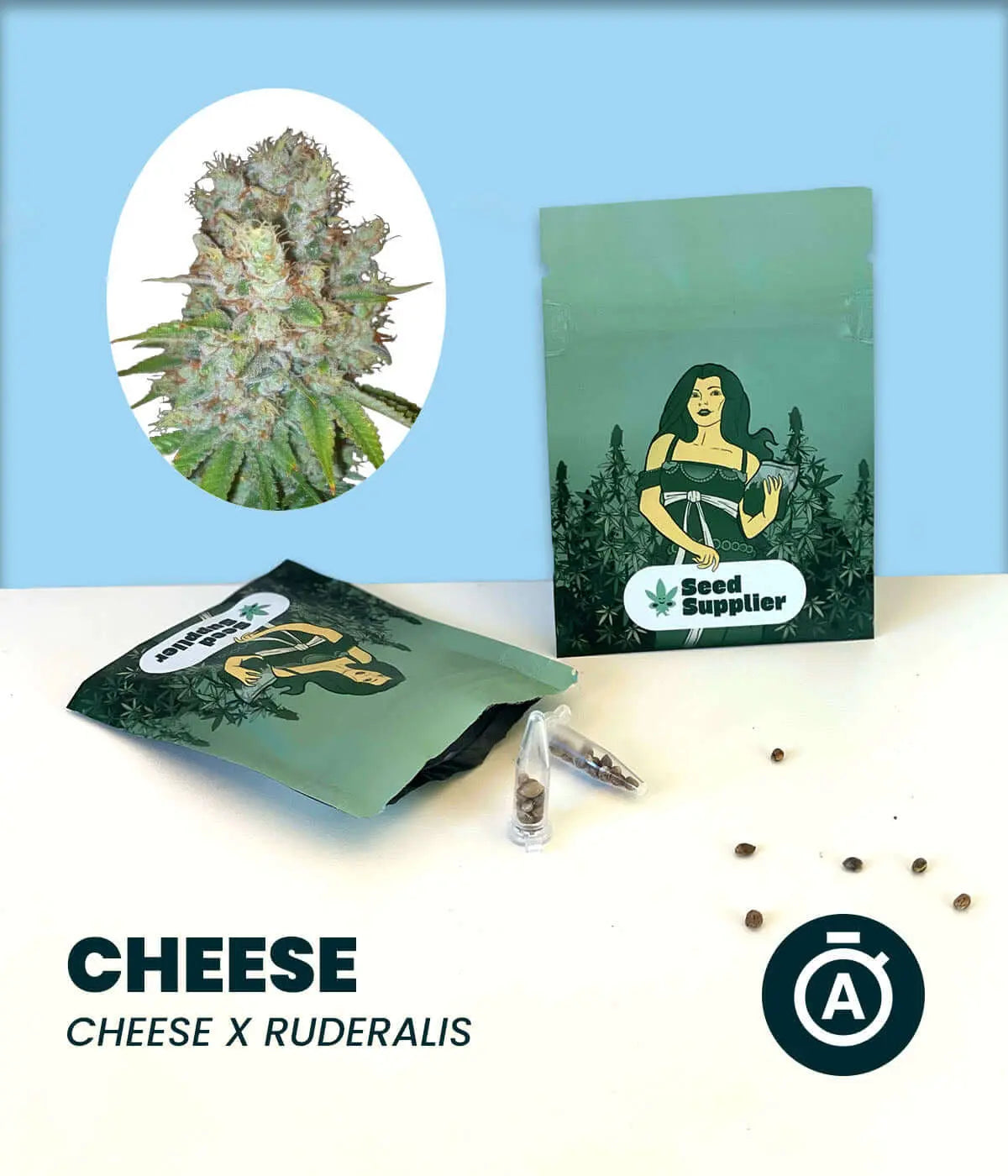 Produktverpackung Cheese Automatic Cannabissamen mit Blütenfoto, Samentüte, Glasvial und einzelnen Samen auf hellblauem Hi...