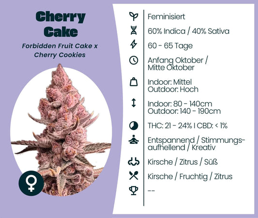 Cherry Cake cannabis seeds, a feminized hybrid with 60% Indica, 40% Sativa, featuring cherry, citrus flavors, and 21-24% THC.