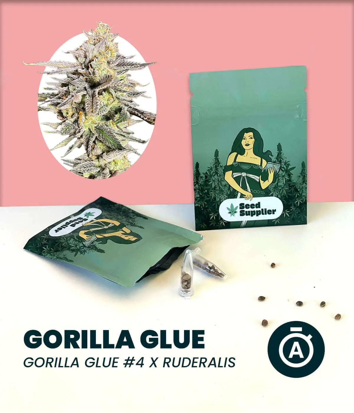 Gorilla Glue Automatic cannabis seeds packaging and bud, showcasing quality genetics of Gorilla Glue and Ruderalis.