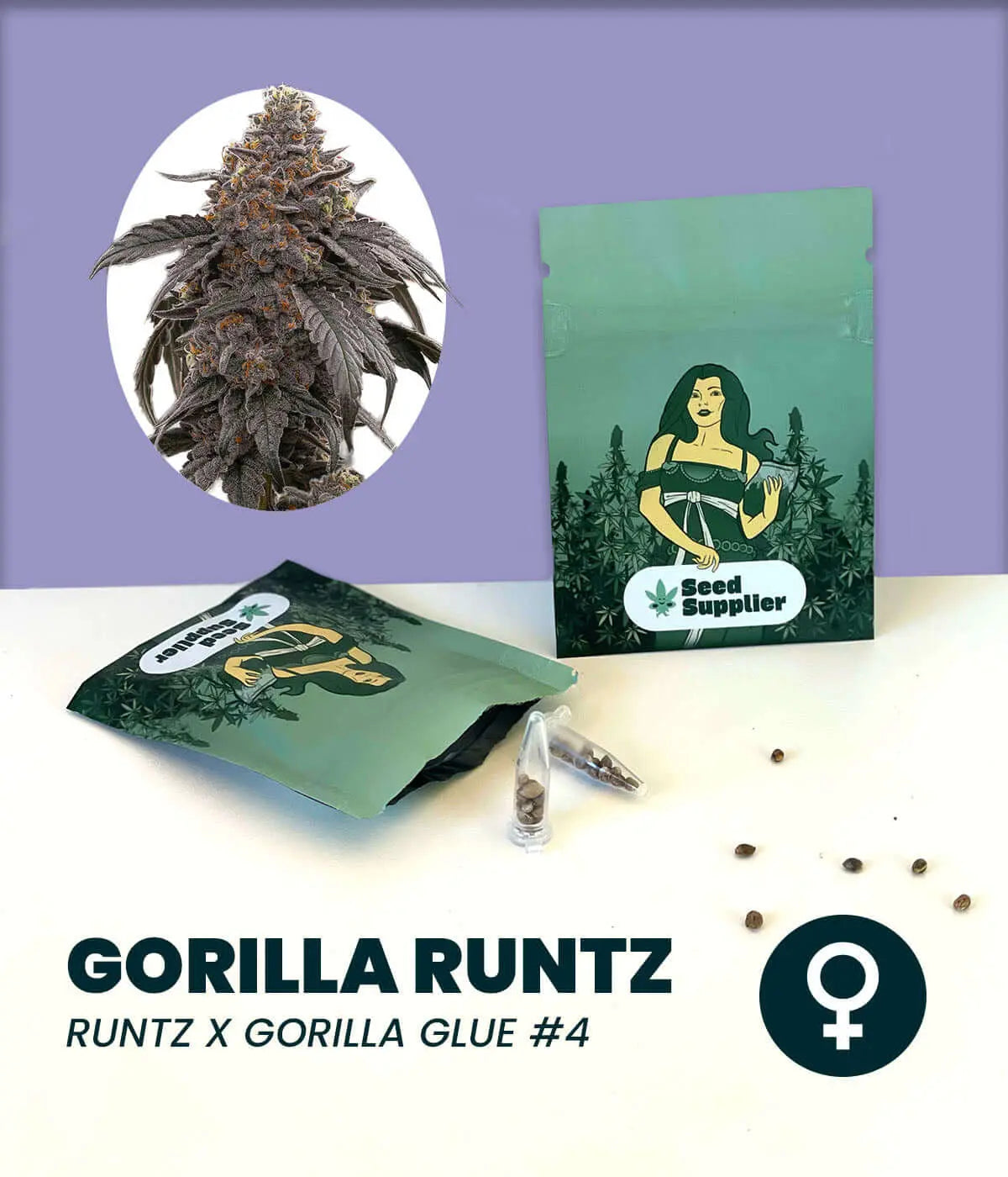 Image of Gorilla Runtz cannabis seeds packaging with Runtz x Gorilla Glue #4 strain details displayed.