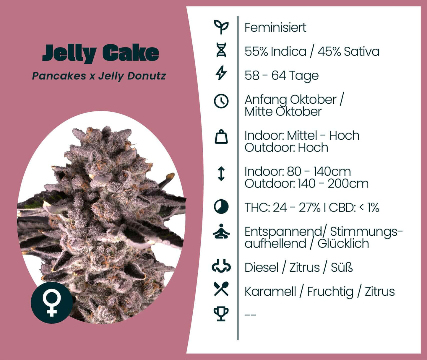 Jelly Cake Cannabis-Samen, feminisierte Sorte mit 55% Indica, aromatisch und entspannend, perfekte Wahl für kreative Abende.