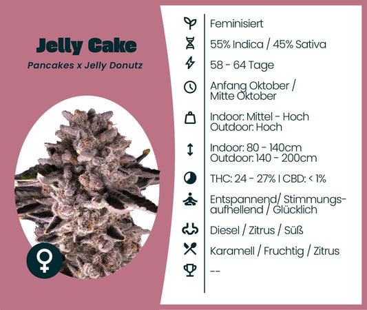 Jelly Cake Cannabis-Samen, feminisierte Sorte mit 55% Indica, aromatisch und entspannend, perfekte Wahl für kreative Abende.