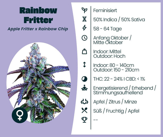 Rainbow Fritter cannabis strain details: 50% Indica/Sativa, THC 22-24%, fruity apple flavor, ideal for creativity.