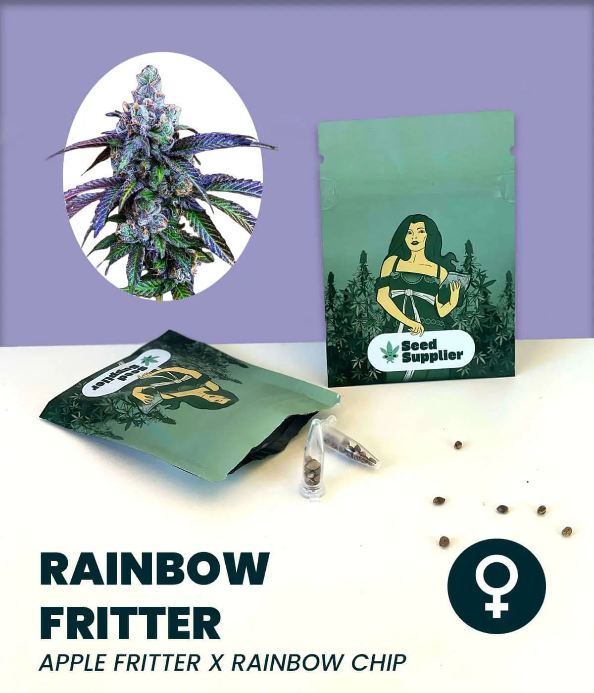 Rainbow Fritter cannabis seeds packaging featuring Apple Fritter x Rainbow Chip hybrid strain.