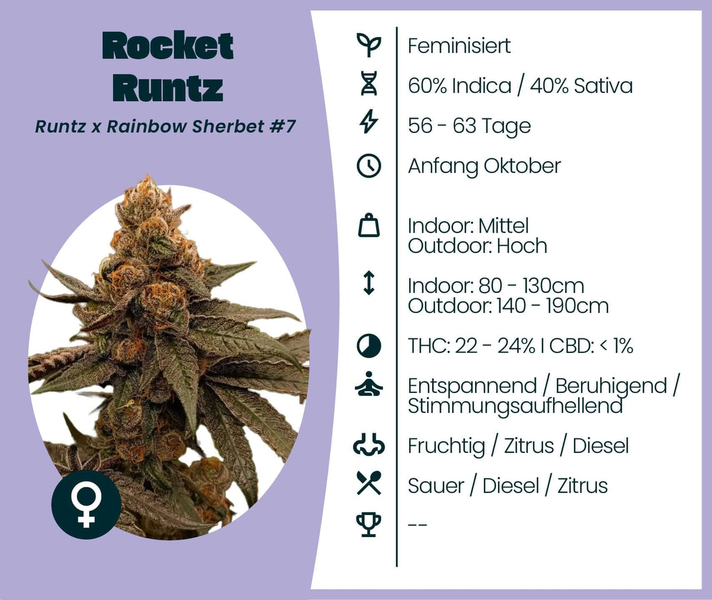 Rocket Runtz