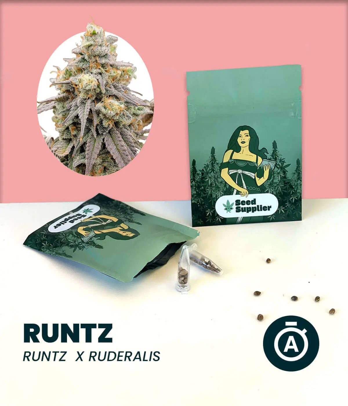 Runtz Automatic cannabis seeds packaging featuring strain details and marijuana flower.