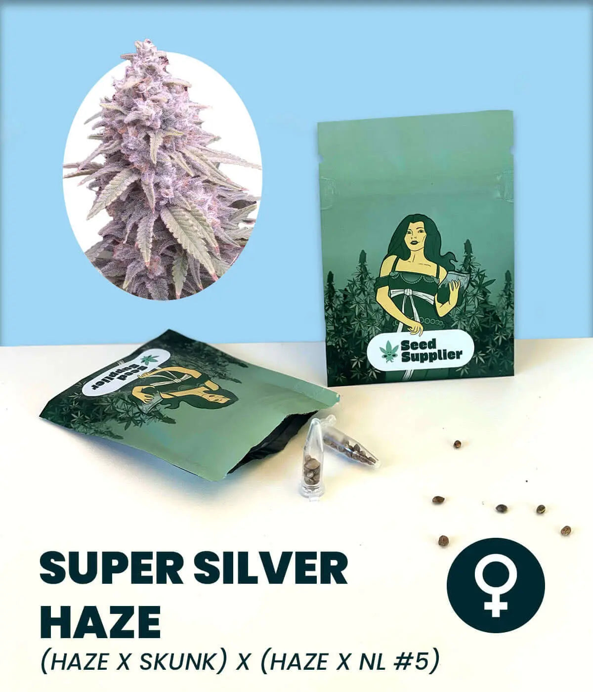 Feminized Super Silver Haze cannabis seeds pack with purple bud illustration, ideal for experienced growers.