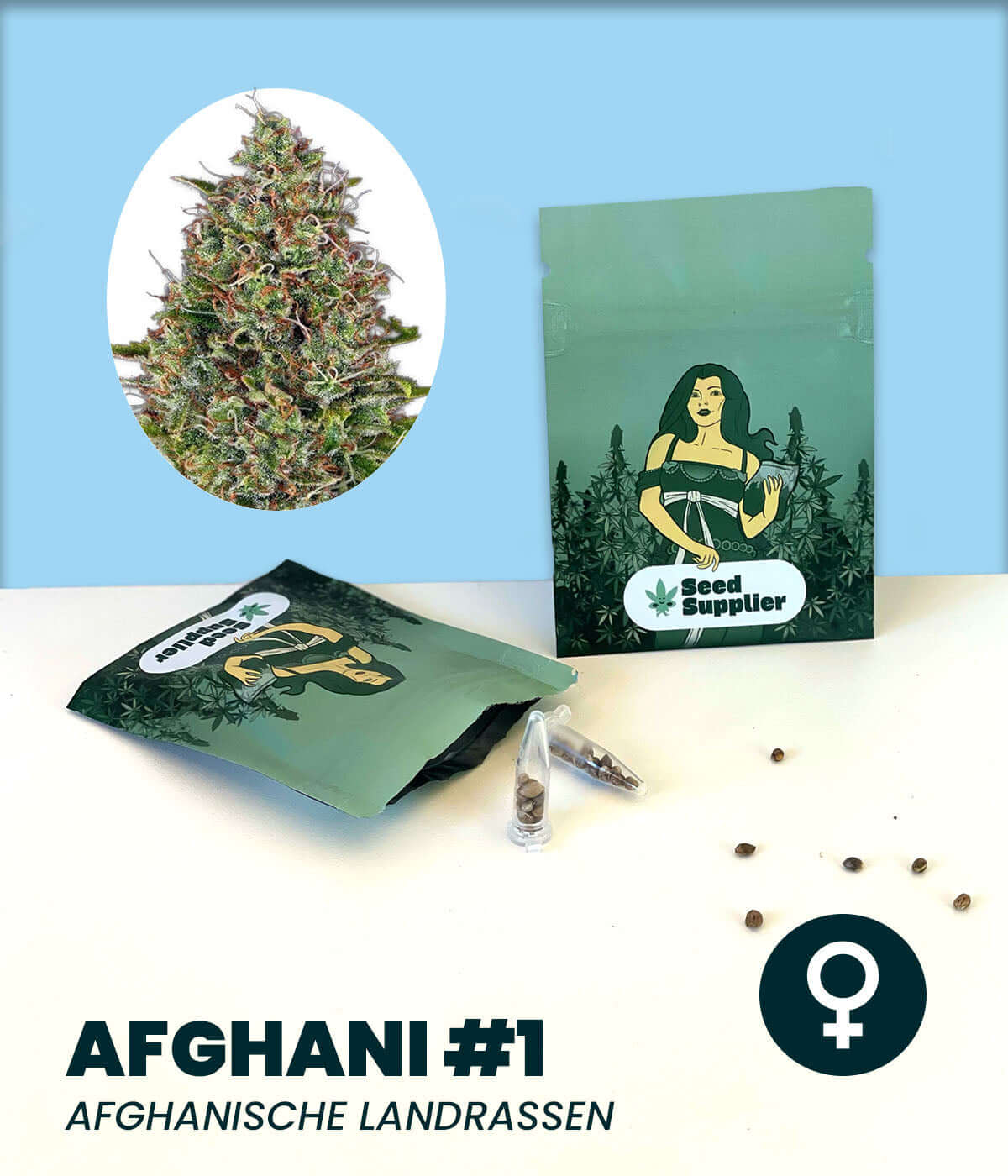 Afghani #1 Cannabis-Samen Verpackung mit Abbildung der Pflanze und weiblichem Symbol, klassische Indica-Genetik.