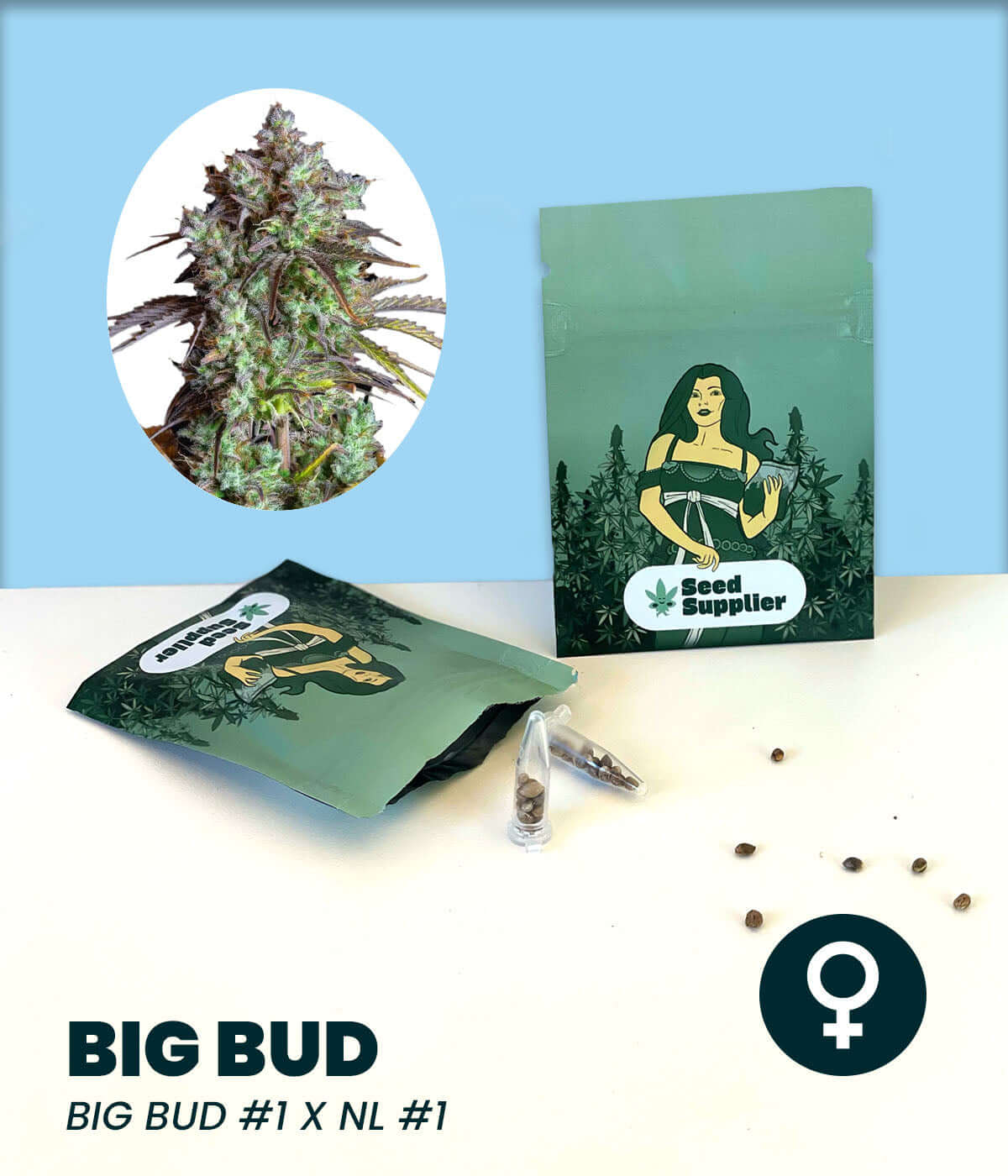 Packaging of Big Bud cannabis seeds, combining Big Bud #1 with Northern Lights #1, featuring Indica-dominant genetics.