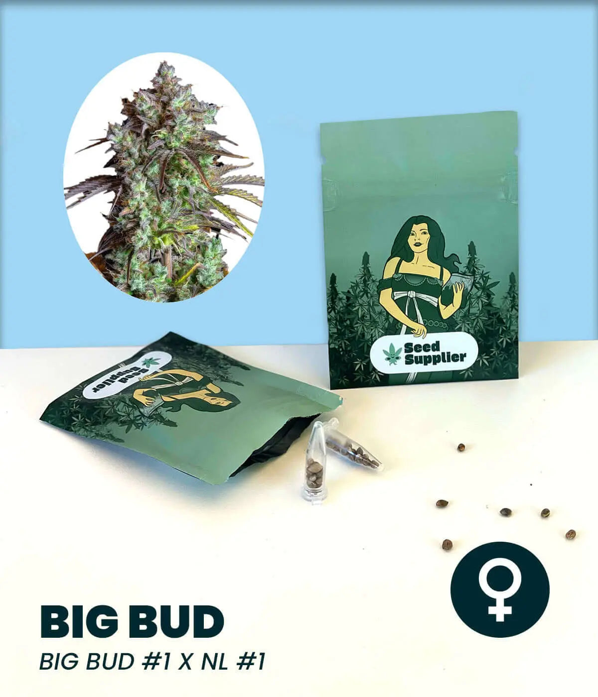 Packaging of Big Bud cannabis seeds, combining Big Bud #1 with Northern Lights #1, featuring Indica-dominant genetics.