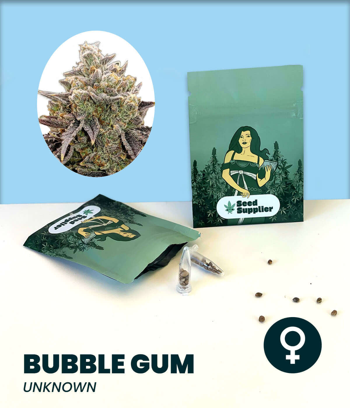 Bubble Gum Cannabis-Samen packaging with buds and seeds, highlighting sweet, award-winning strain with Indica and Sativa balance.