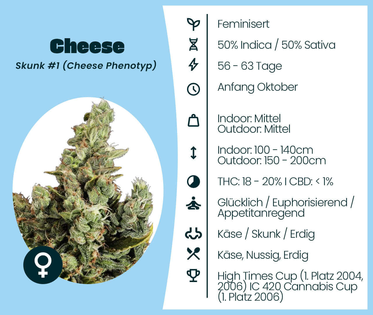 Cheese cannabis seeds, feminized, 50% Indica/Sativa, Skunk #1 phenotype, known for intense cheesy aroma and classic status.