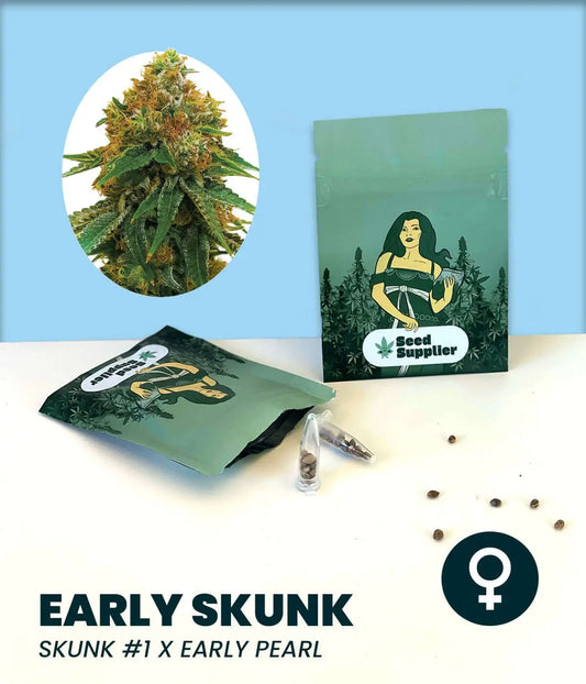 Early Skunk Cannabissamen von Seed Supplier mit Blüte, Samentüte, Glasvial und einzelnen Samen auf blauem Hintergrund