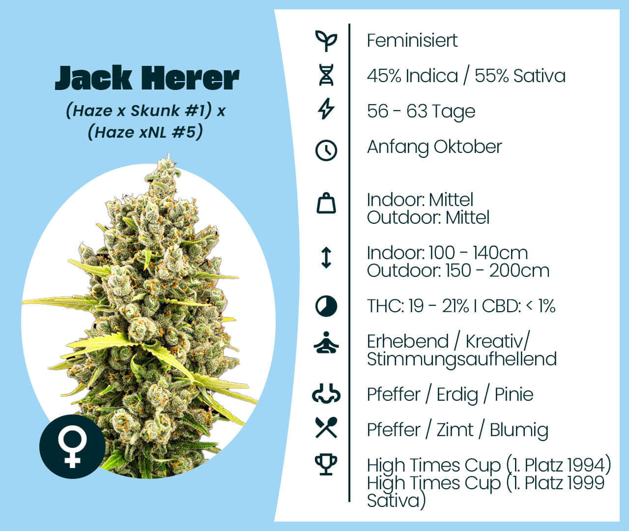 Jack Herer cannabis seeds info: 45% Indica, 55% Sativa, 56-63 days flowering, indoor/outdoor, THC 19-21%, award-winning hybrid.