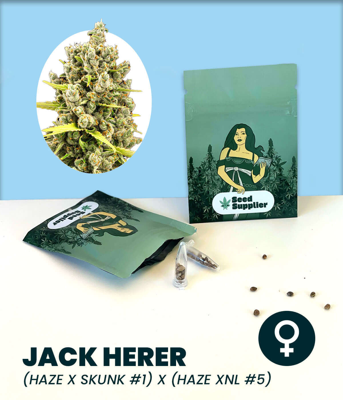 Cannabis-Samen Jack Herer Verpackung mit Haze x Skunk #1 x Northern Lights #5 und Blütezeit 56-63 Tage.