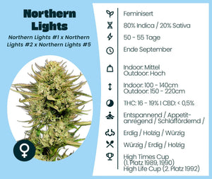 Northern Lights