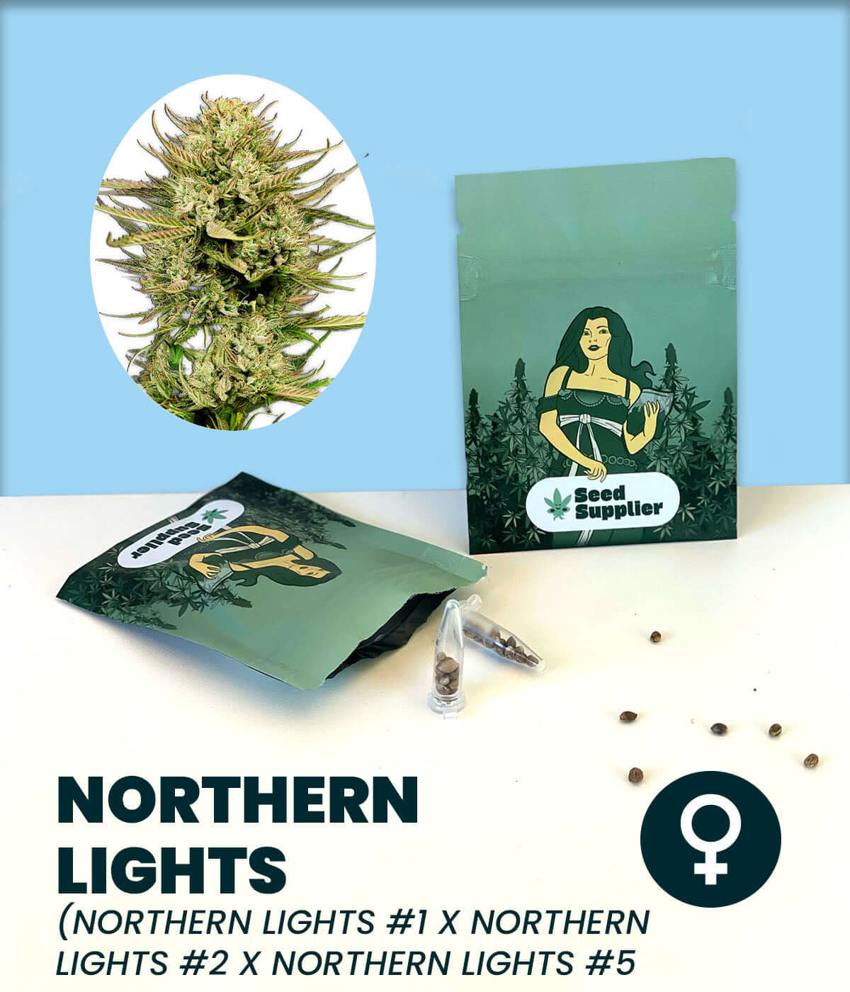 Cannabis-Samen Northern Lights feminized seeds with packaging showcasing Indica-Sativa blend for relaxation and heavy yields.