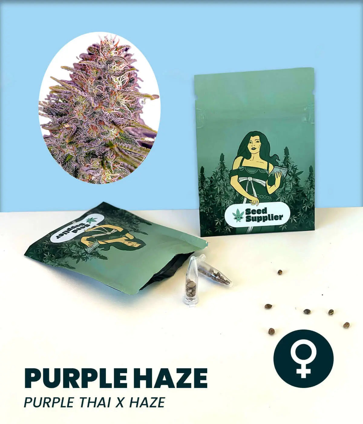 Purple Haze Cannabis-Samen, sativa-dominante Sorte mit Purple Thai und Haze Kreuzung, feminisierte Samenverpackung.