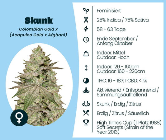 Skunk cannabis seeds information, feminized, 75% Sativa, aromatic blend, indoor/outdoor growth; includes Colombian Gold, Acapulco Gold.