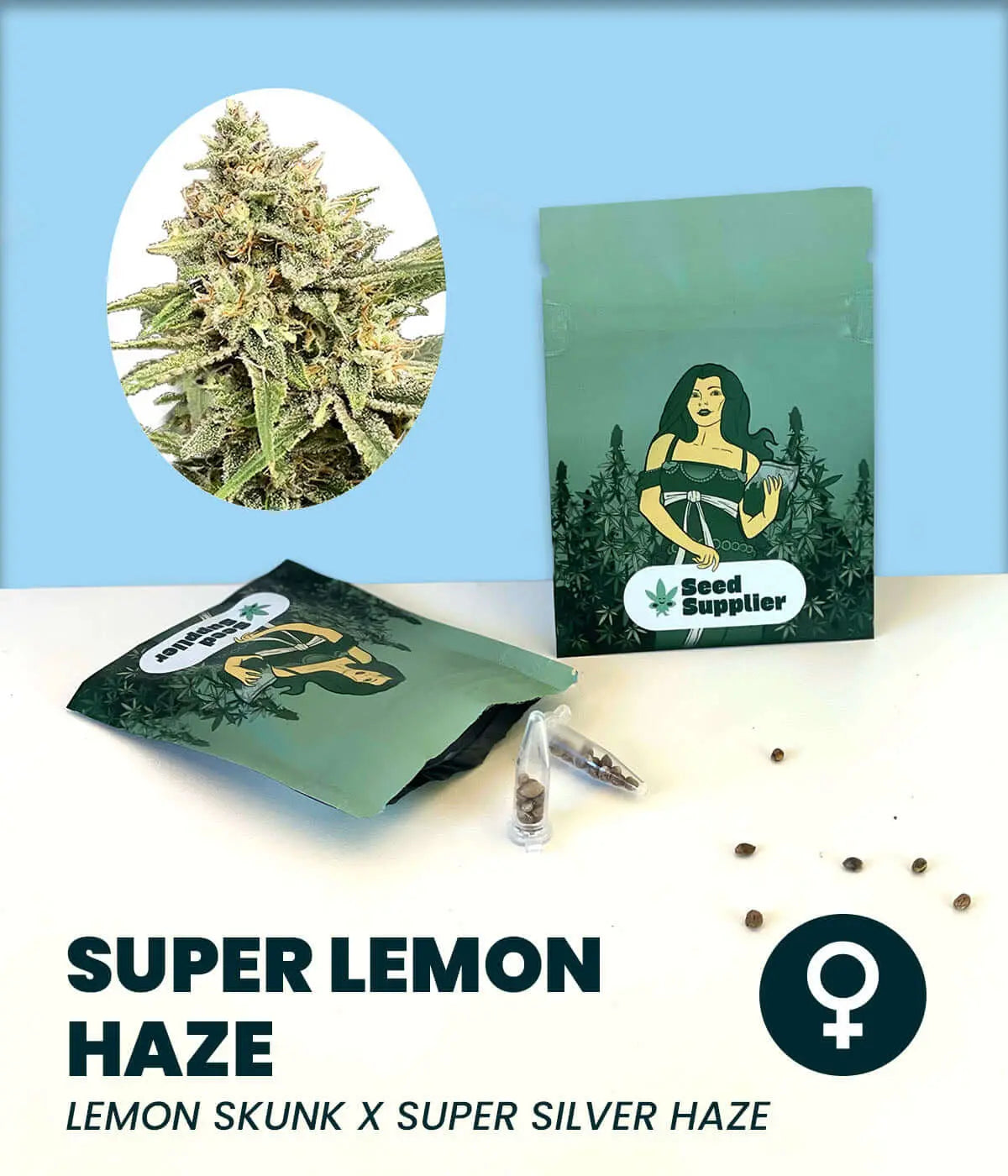 Super Lemon Haze Cannabis-Samen, feminisiert, preisgekrönt, Lemon Skunk x Super Silver Haze, Verpackung und Samen.