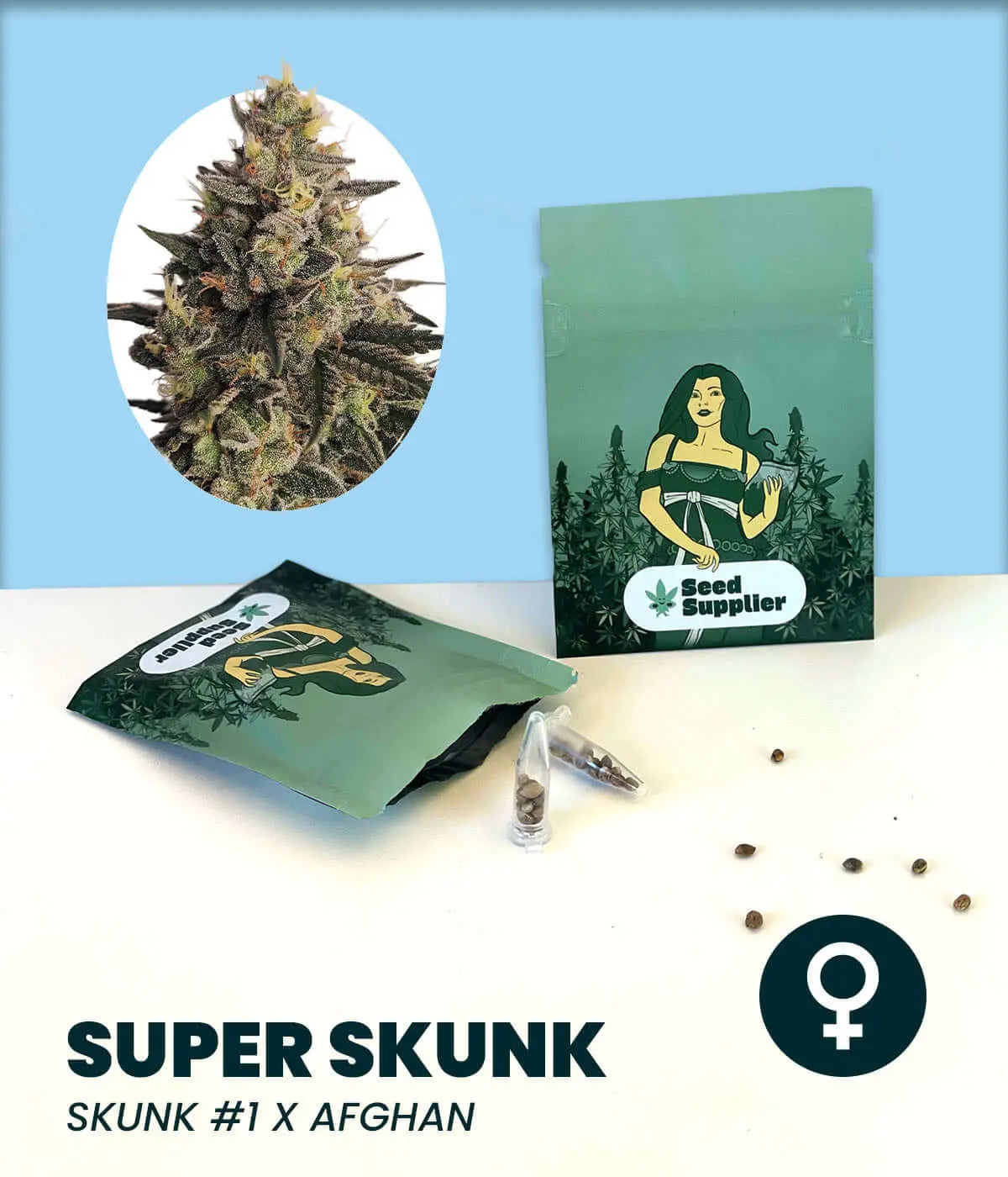 Super Skunk Cannabis-Samen feminisiert, Skunk #1 x Afghan mit starker Wirkung und harziger Struktur, ideal für Anbau.