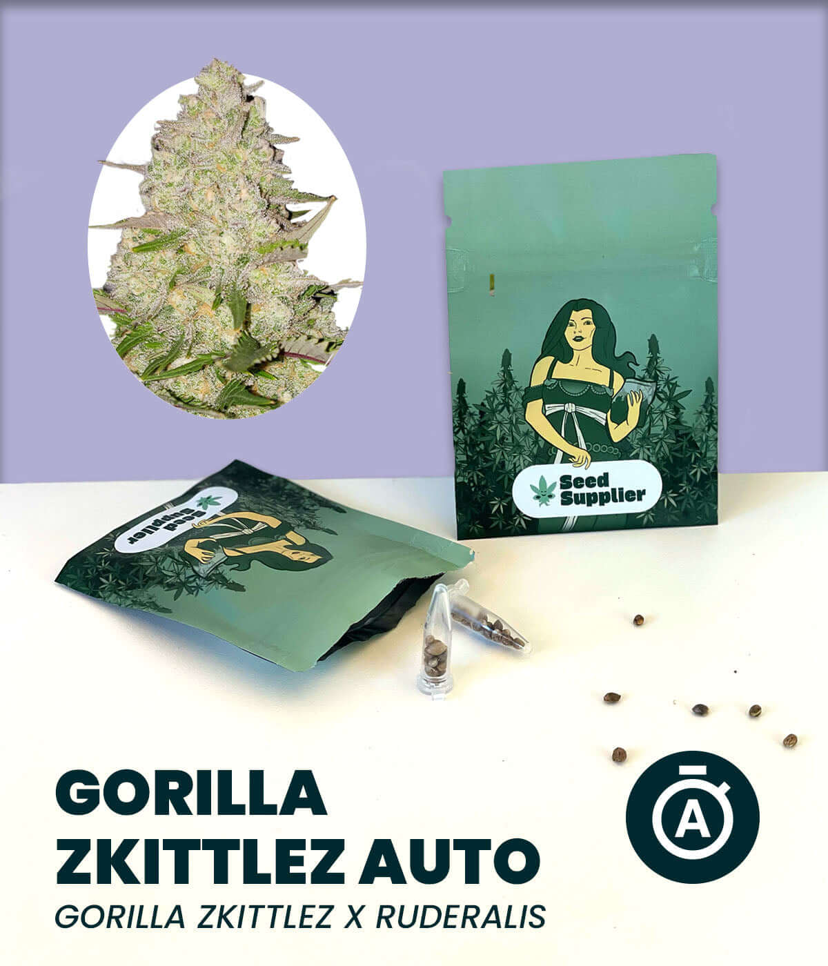 Gorilla Zkittlez Automatic Cannabis-Samen packaging and seeds with flowering plant image.