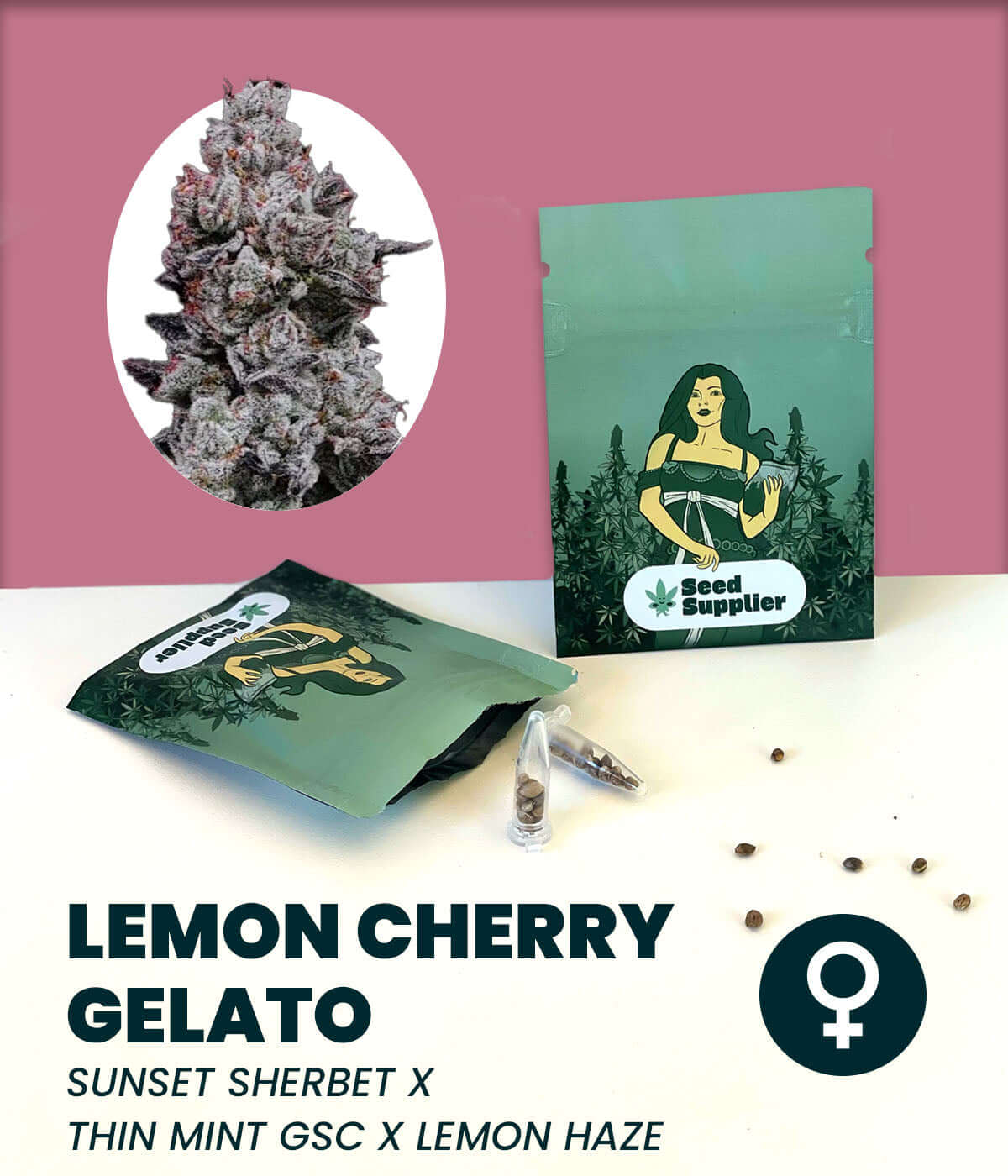 Lemon Cherry Gelato Cannabis-Samen: Feminized seeds from Sunset Sherbet, Thin Mint GSC, Lemon Haze. Sativa-dominant strain.