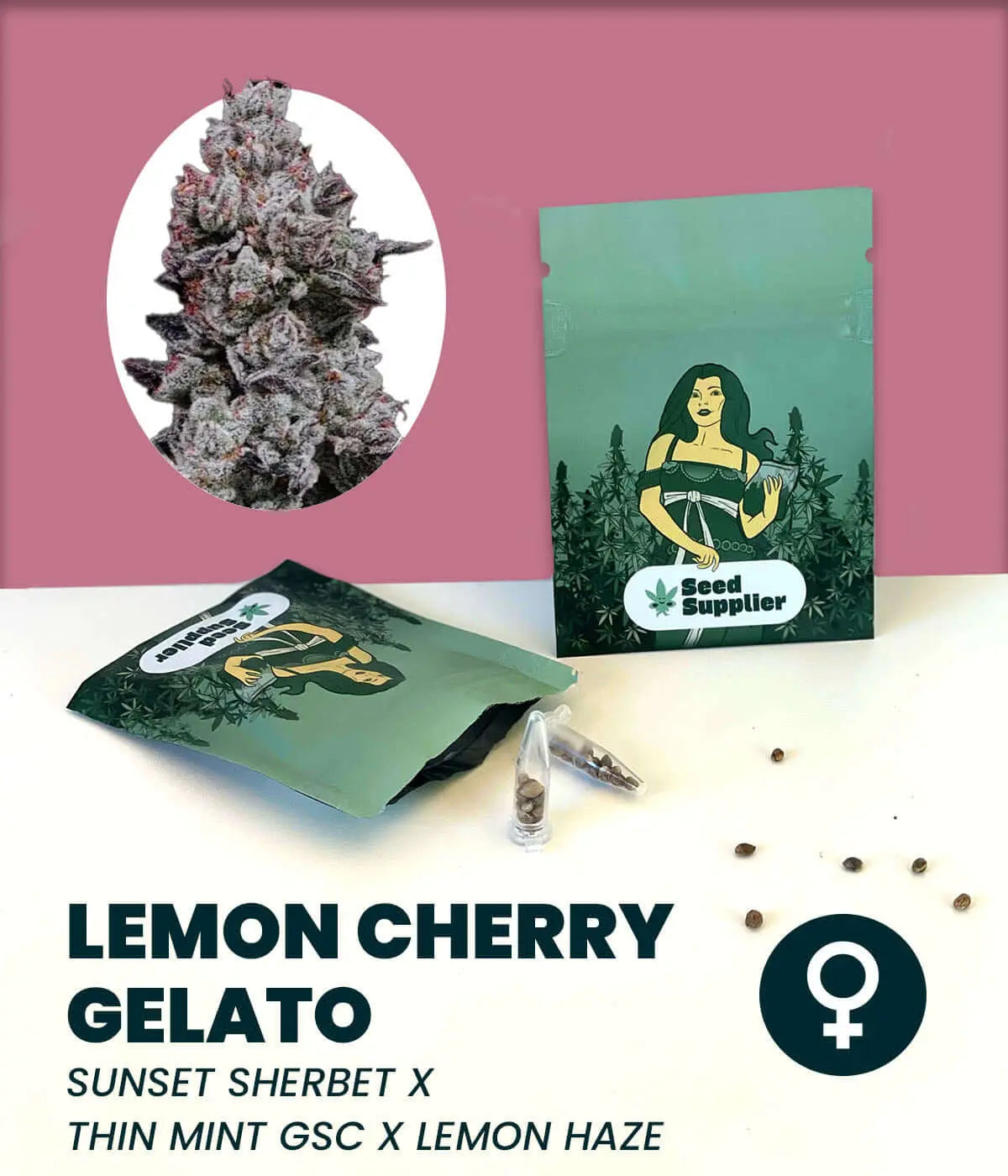 Lemon Cherry Gelato Cannabis-Samen: Feminized seeds from Sunset Sherbet, Thin Mint GSC, Lemon Haze. Sativa-dominant strain.