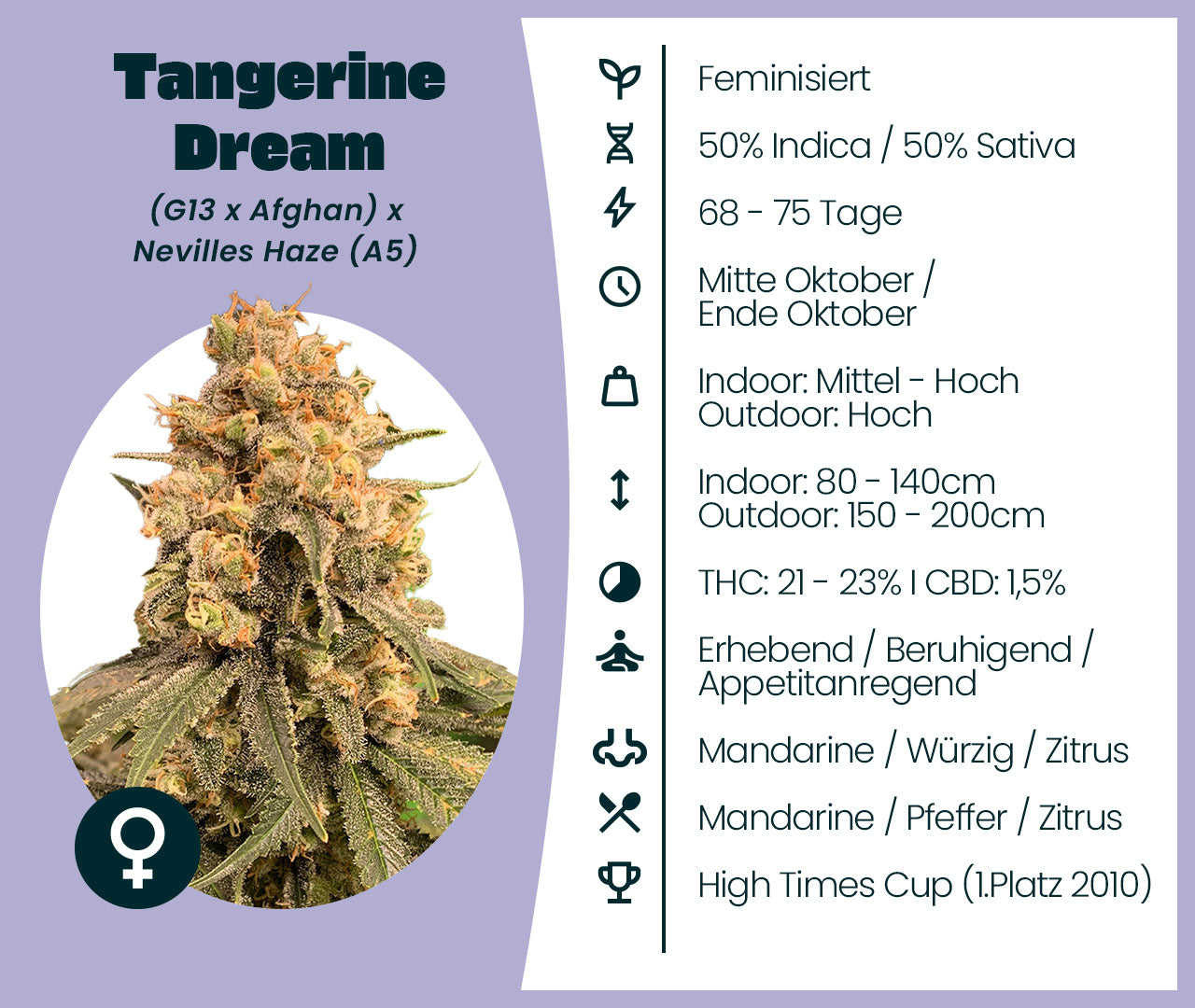 Tangerine Dream Steckbrief