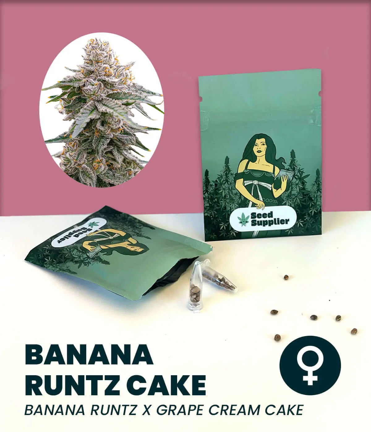 Banana Runtz Cake - Cannabis Samen Seed Supplier