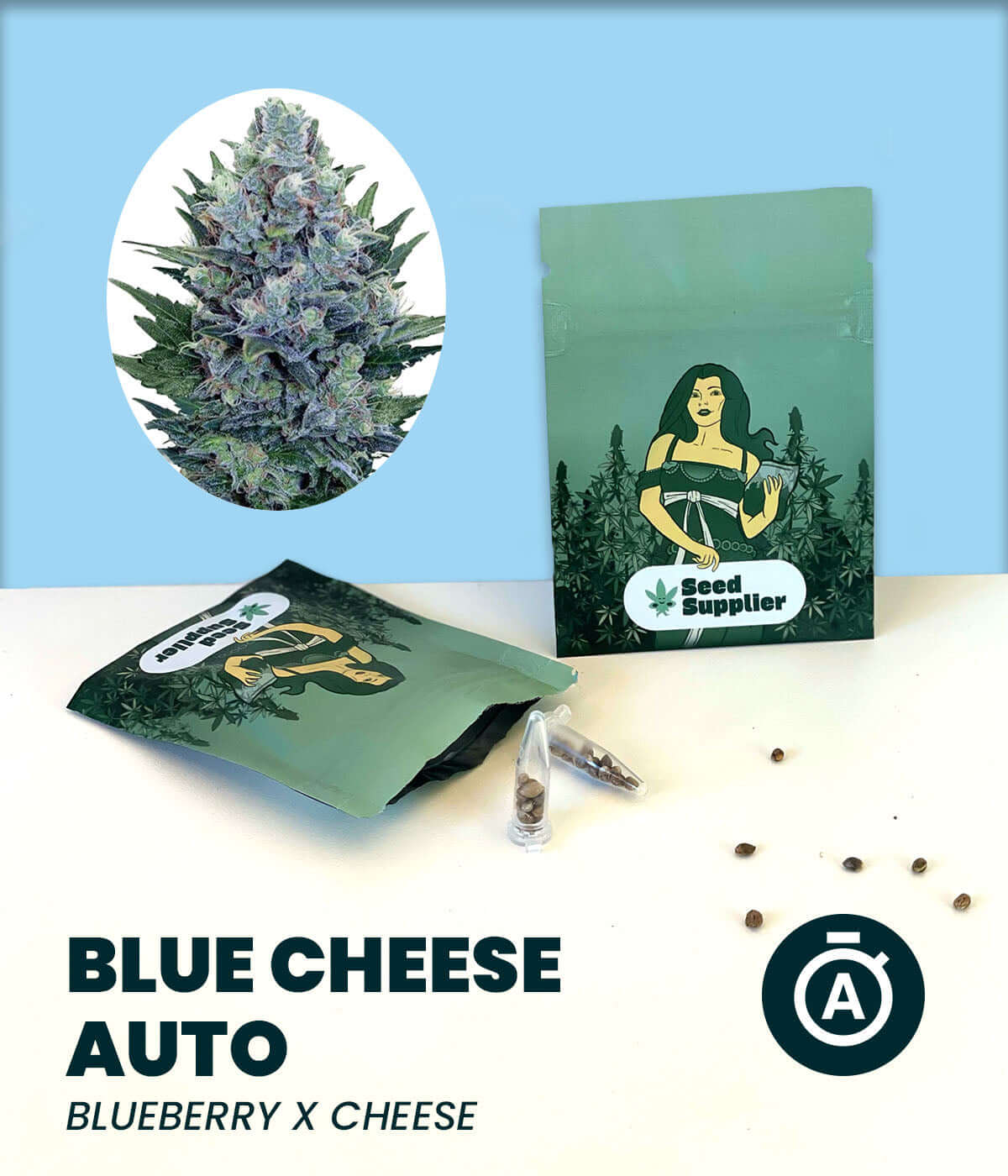 Blue Cheese Auto Cannabis-Samen packaging with a cannabis plant image and seeds on display.
