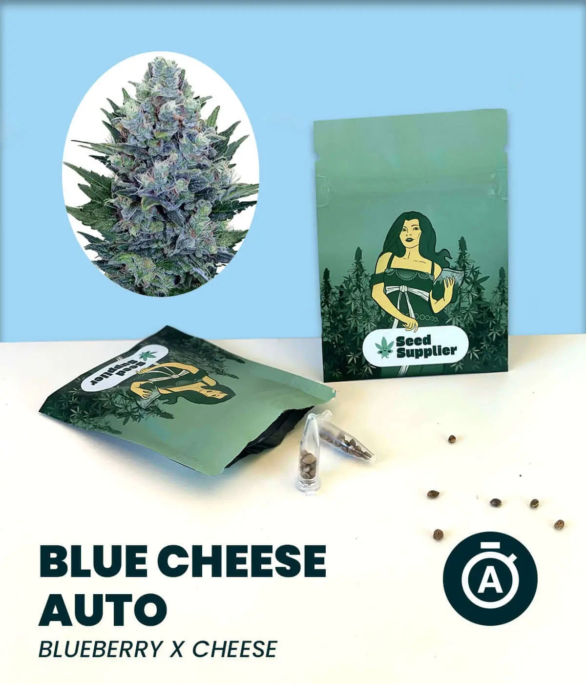 Blue Cheese Auto Cannabis-Samen packaging with a cannabis plant image and seeds on display.