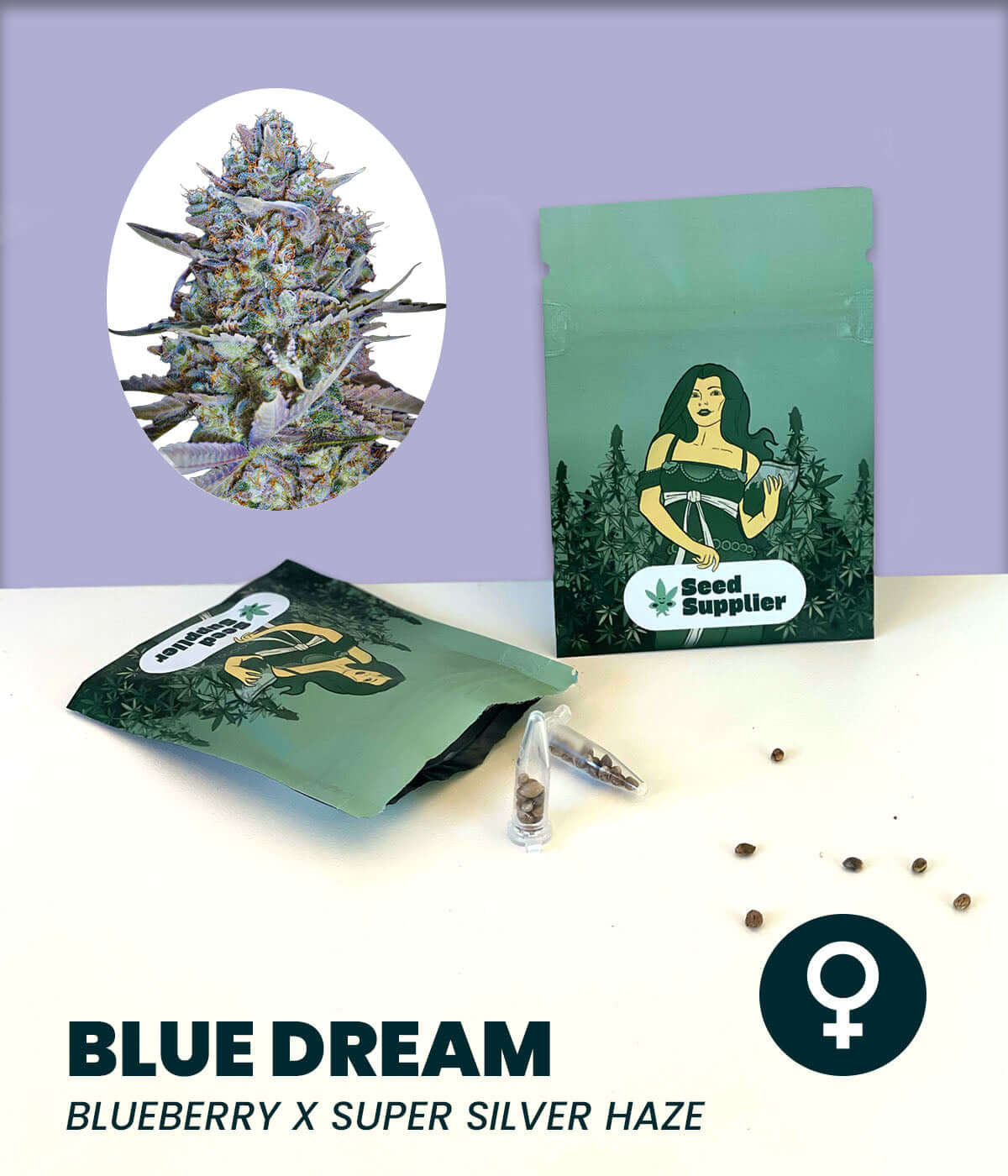 Feminized Blue Dream Cannabis-Samen with Blueberry and Super Silver Haze genetics, featuring balanced Indica and Sativa traits.