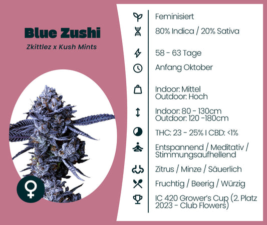 Blue Zushi