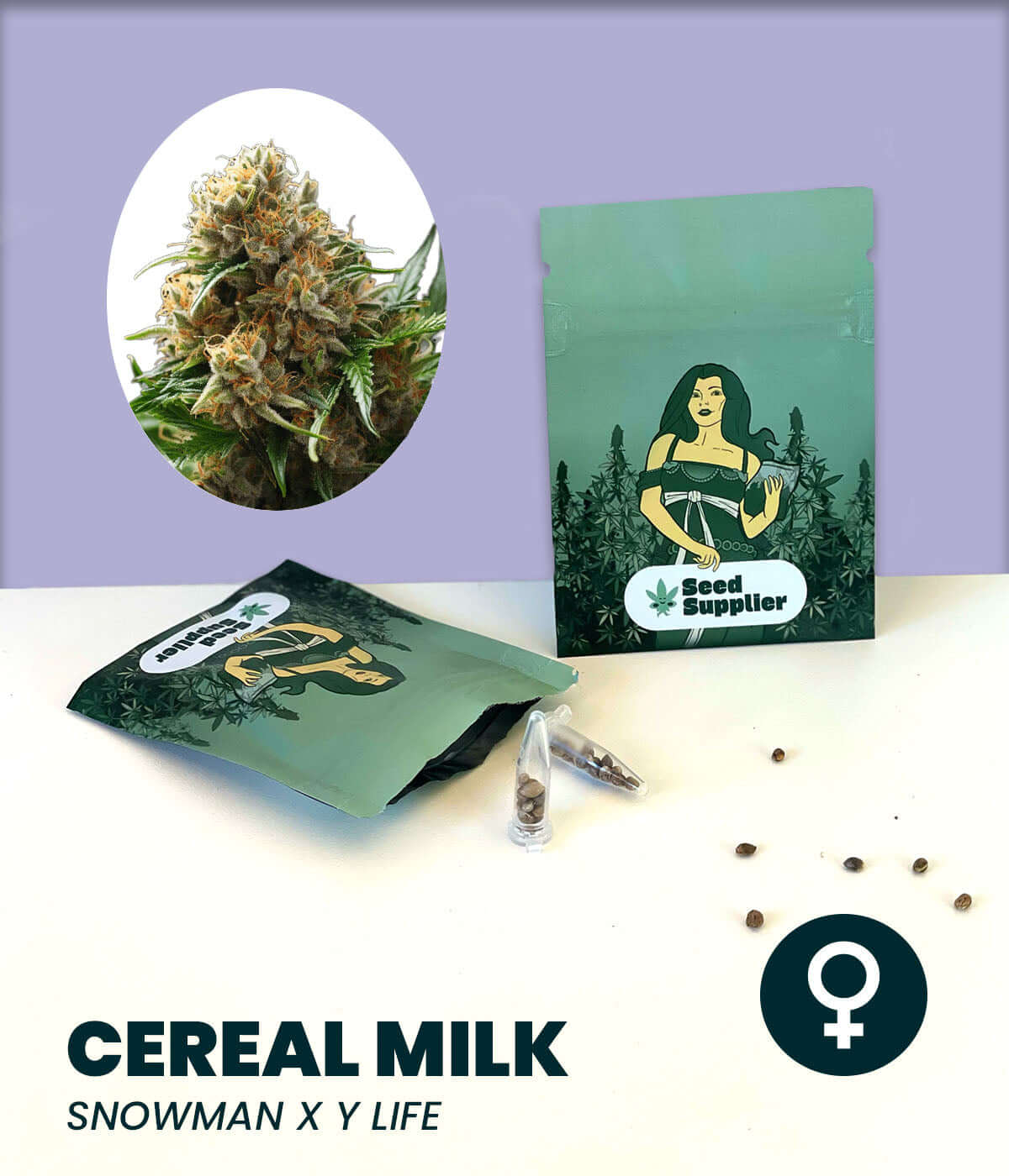 Cereal Milk Cannabis-Samenpackung mit feminisierten Samen und Abbildung der Blüte, Kreuzung aus Snowman und Y Life.