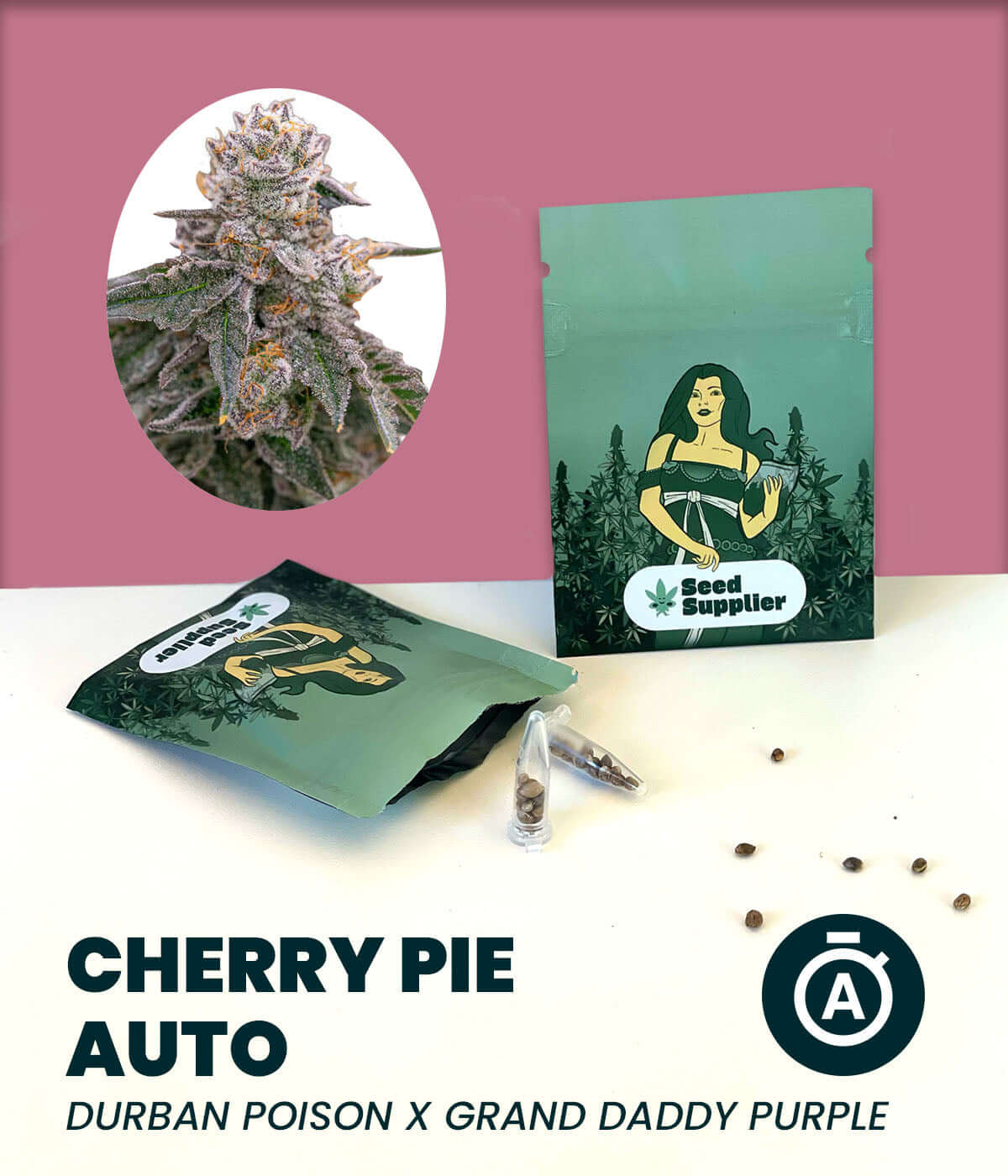 Cannabis-Samen Cherry Pie Auto, Mischung aus Durban Poison und Grand Daddy Purple, Produktverpackung mit Samen und Buds