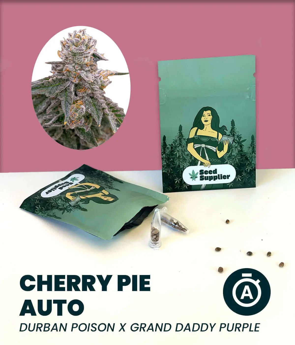 Cannabis-Samen Cherry Pie Auto, Mischung aus Durban Poison und Grand Daddy Purple, Produktverpackung mit Samen und Buds