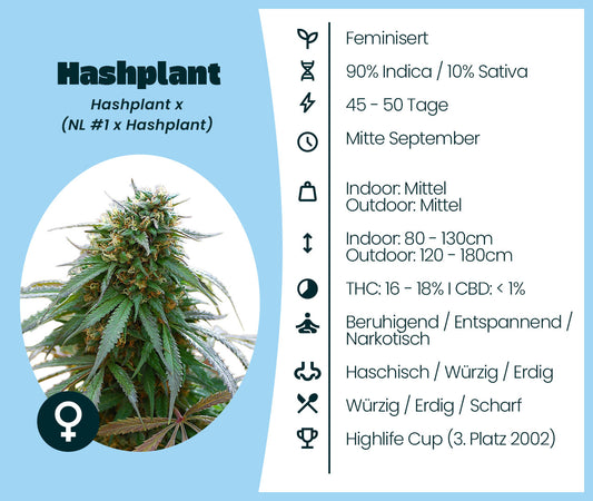 Hashplant