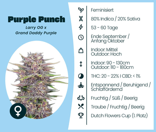 Purple Punch