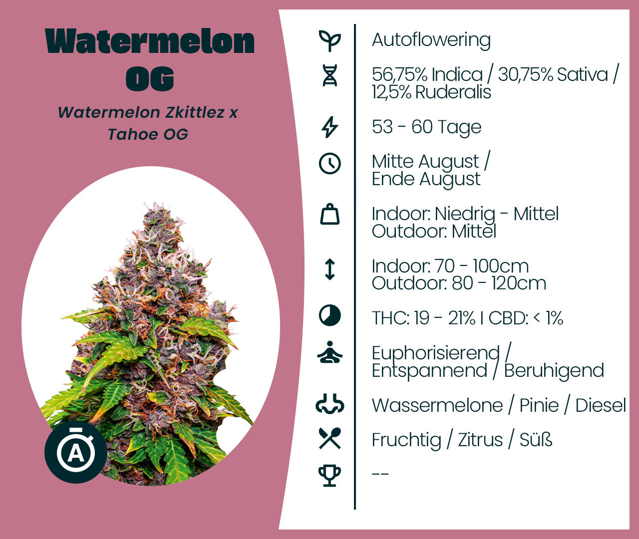 Watermelon OG Automatic