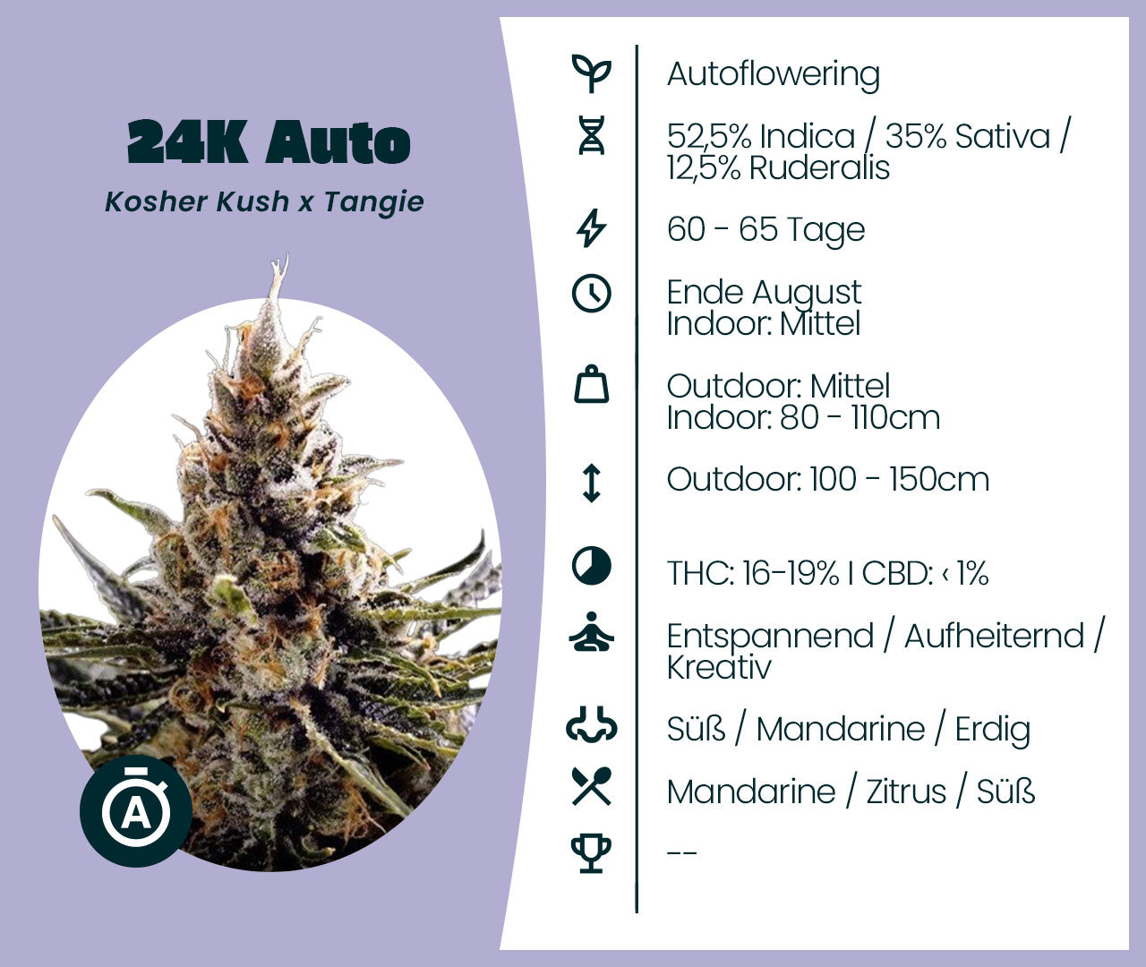 Gratis Samen - 24K Automatic