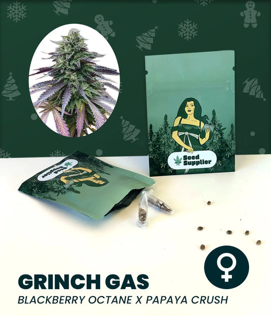 Grinch Gas Cannabissamen mit Blütenfoto, Samenpackung, Samen Supplier Karteikarte und einzelnen Samen auf weißem Hintergrund