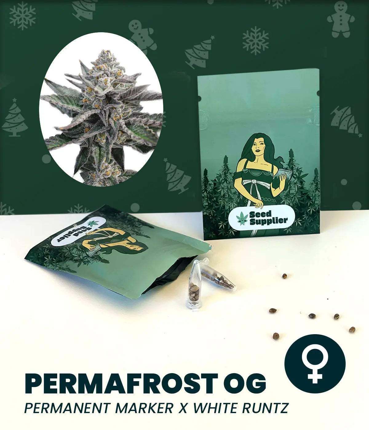 Permafrost OG Cannabissamen von Seed Supplier mit Blütenfoto, Saatgutverpackung und einzelnen Samen auf weißem Untergrund
