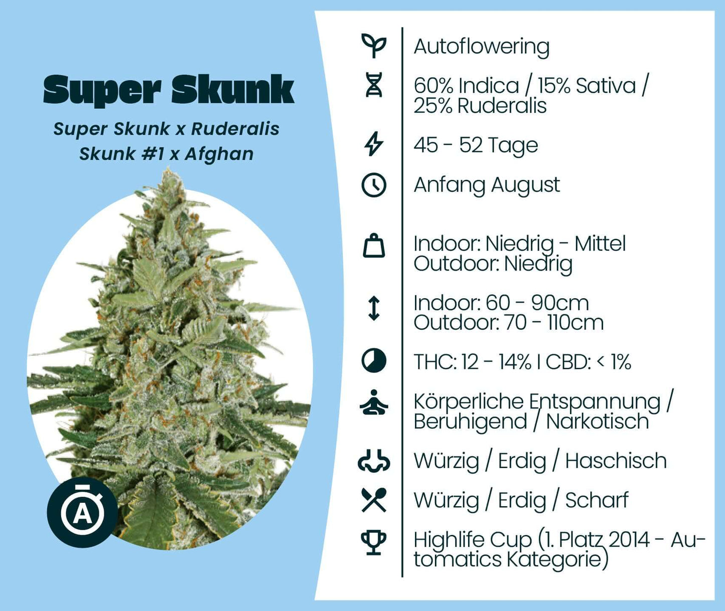 Super Skunk Automatic cannabis seeds information, featuring growth details and effects.