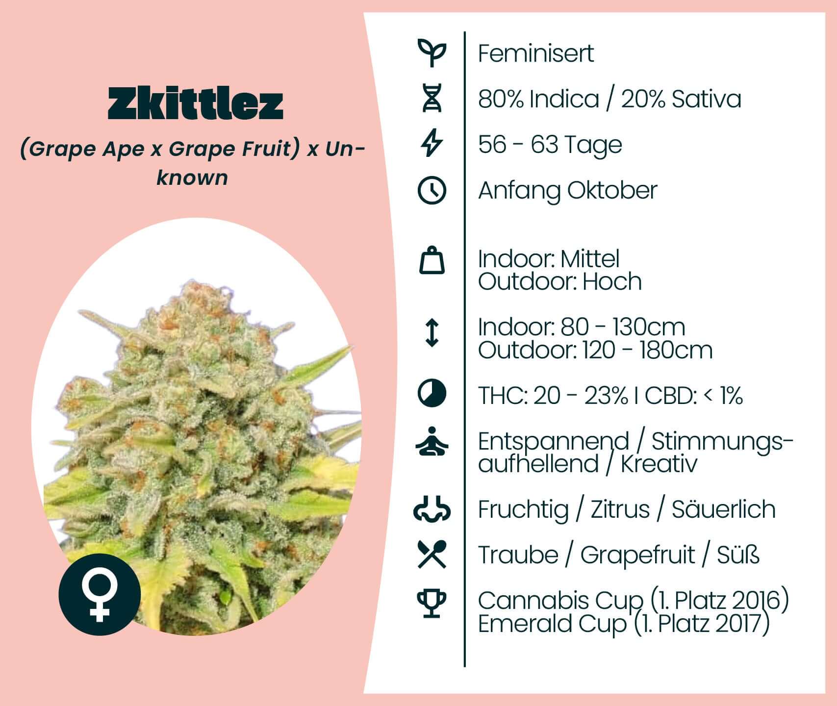 Zkittlez cannabis strain information with characteristics and awards, including hybrid genetics and THC levels.