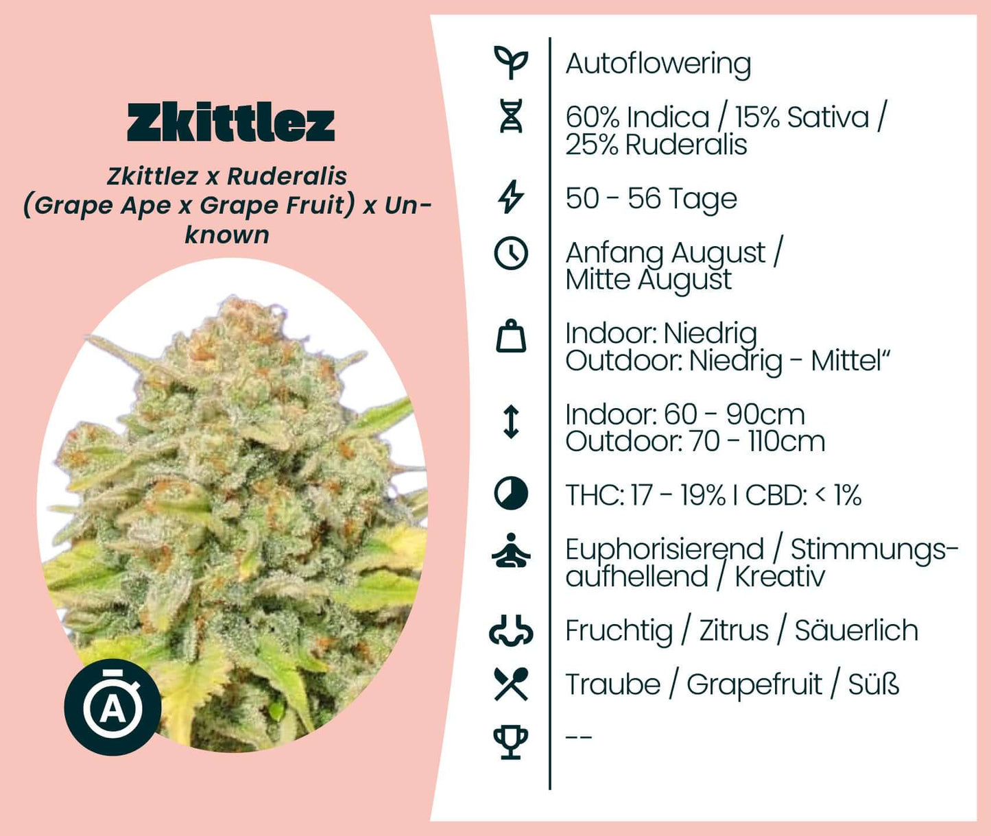 Zkittlez Automatic